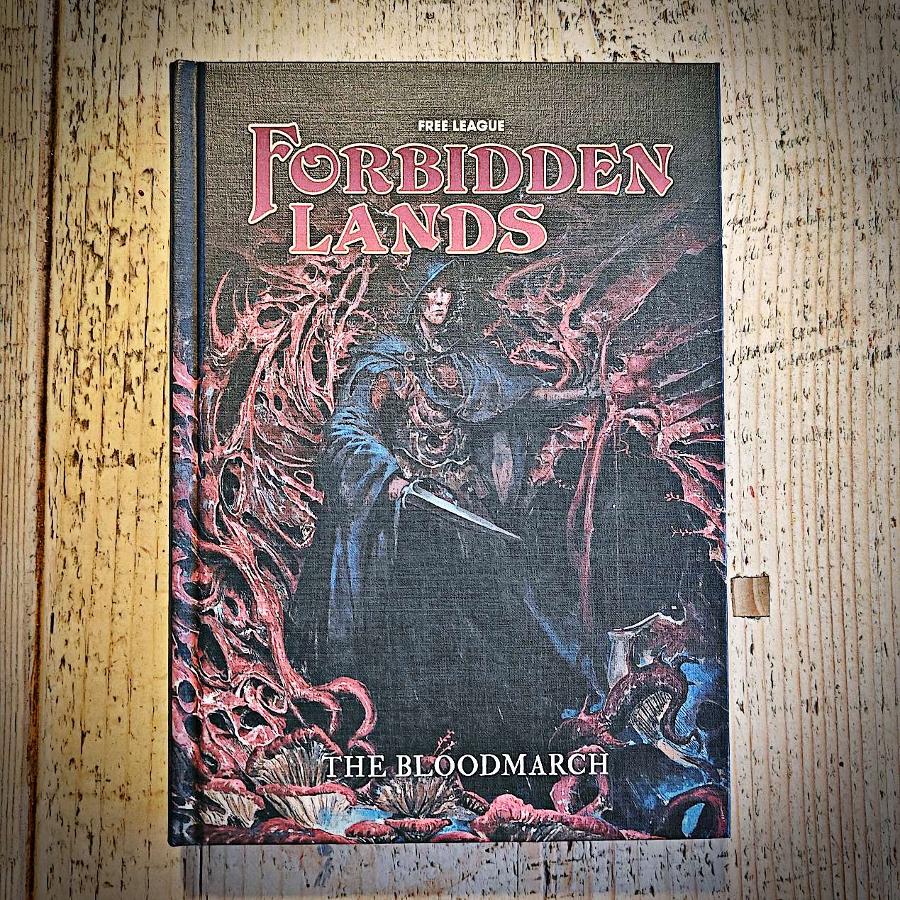Dungeons & Dragons Miniature Forbidden Lands The Bloodmarch Map & Card ...